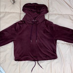 Velvet Cropped Hoodie